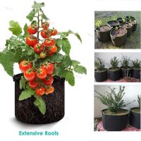 20 Gallon Hand Held Plant Grow Bags Fabric Pot Vegetables Flower Bags Plant Growing Container Gardening Tools YB1TH