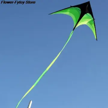 1.1m Eagle Kite With 30 Meter Kite Line Large Eagle Flying Bird