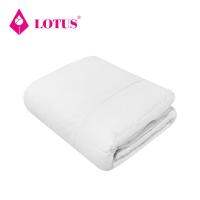 ผ้ารองกันเปื้อน QUEEN SIZE LOTUS FULL-FIT สีขาวMATTRESS PROTECTOR QUEEN SIZE LOTUS FULL-FIT WHITE **จัดส่งด่วนทั่วประเทศ**