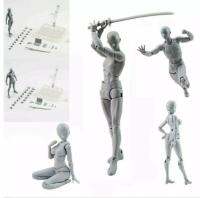 Fancy【จัดส่งฟรี】ร่างกายจังและ Kun DX ชุดรูปการกระทำชายหญิงรุ่นสำหรับ SHF สำหรับศิลปินวาดภาพสร้างสรรค์การพัฒนาประกอบของเล่นของขวัญวันวาเลนไทน์