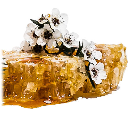 wild-ferns-ไวล์ดเฟิร์นส-manuka-honey-soap-สบู่น้ำผึ้งมานูก้า-40-g
