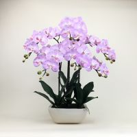 กระถางกล้วยไม้ประดิษฐ์ขนาดใหญ่ ดอกไม้ปลอมพร้อมกระถาง Artificial orchid arrangement