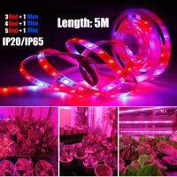 5เมตร12V ไฟ Led เต็มสเปกตรัม Grow ริ้วสายไฟสีแดง + สีน้ำเงินปลูกโคมไฟกันน้ำ IP65/IP20สำหรับ Hydroponics รูปดอกไม้ต้นไม้ผัก