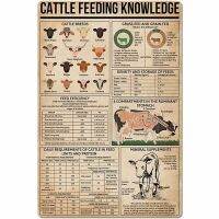 Cattle Feeding Knowledge Vintage Poster Metal Tin Signs Iron Painting Plaque Wall Decor Bar Club Novelty Bathroom Kitchen Toilet