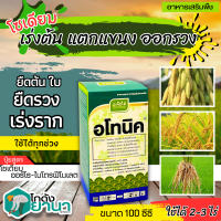 ? อโทนิค (โมโนไนโตรฟินอล) ขนาด 100ซีซี แตกยอดใหม่ ขยายผล ฟื้นต้น