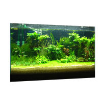 Kesoto Attractive 3D Plants Imageพิพิธภัณฑ์สัตว์น้ำโปสเตอร์พื้นหลัง/ภูมิทัศน์ตู้ปลา