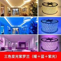 ¤┅ Night beauty led lights with highlightingoutdoor sitting room condole topcolor led lights belt of waterproof double row 220 v lights