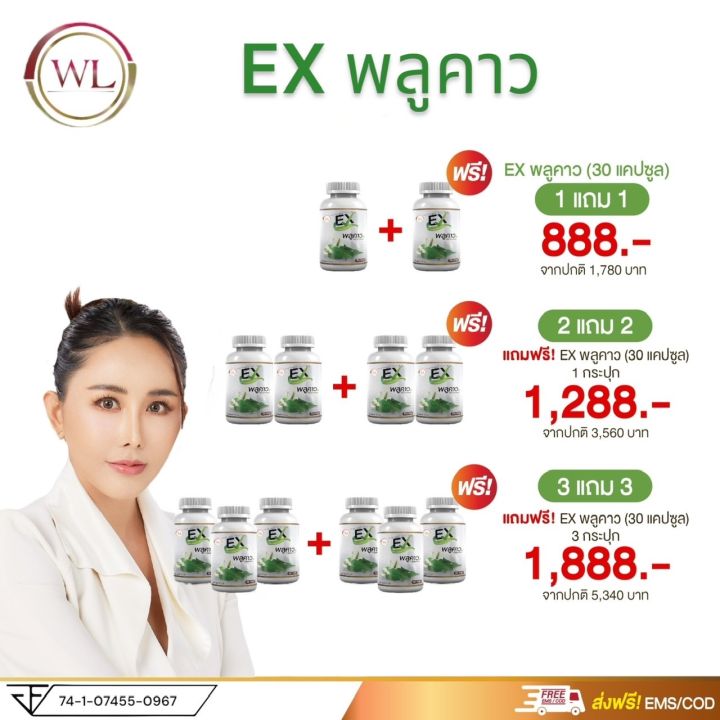 ex-พลูคาว-เสริมภูมิคุ้มกันให้ร่างกายด้วยสารสกัดจากสมุนไพรพลูคาวส่งฟรี