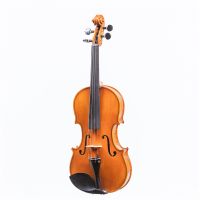 ไวโอลิน Paganini Lorenzo รุ่น M500