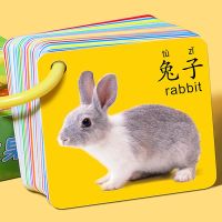 [COD] New 45 pieces of literacy cards with pictures that cant be torn off for and children cognitive pinyin digital enlightenment early education wholesale