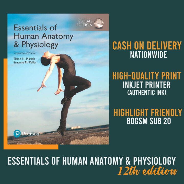 Essentials Of Human Anatomy & Physiology 12th Edition | Lazada PH