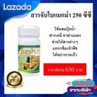 สารจับใบแมกม่า ขนาด 250 ซีซี สารจับใบดูดซึมเร็วภายใน 1- 3 วินาที สูตรเข้มข้นเกรดพรีเมี่ยม ช่วยเปิดปากใบใช้กับพืชได้ทุกชนิด