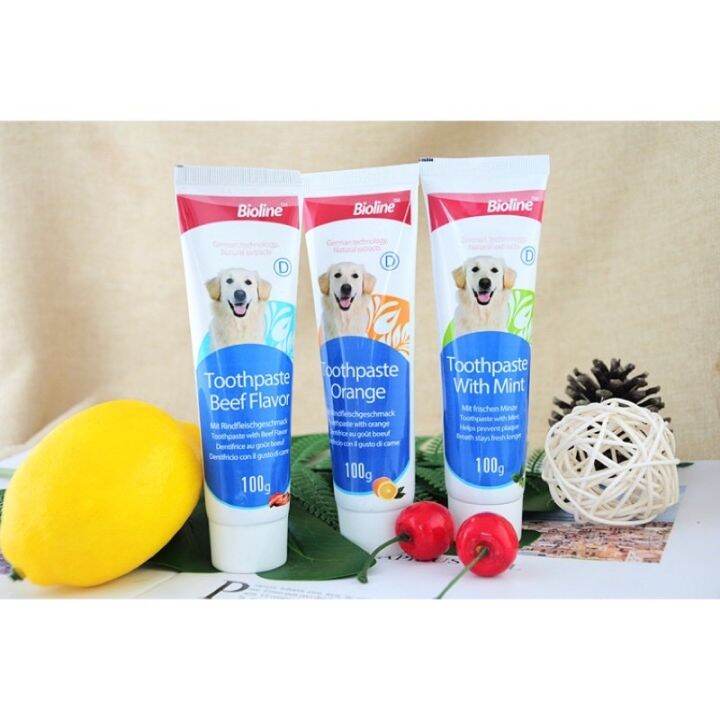 Bioline Toothpaste (Mint/Beef/Orange) for Dogs Lazada PH