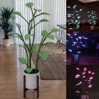 Magical LED houseplant นางฟ้าโคมไฟ LED ไฟกลางคืนพืชแสงพรรคตกแต่งตกแต่งบ้านต้นไม้บอนไซบ้านพืชไฟ