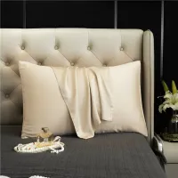 Natural Silk Pillowcase High Quality Comfortable Pillow Case Solid Color Bedding Pillow Cover 40x70 50x80 Envelope Pillowcover