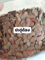 100 เมล็ด เมล็ดพันธุ์ Garden Seeds ประดู่ด้อง กำพี้ ไม้สกุลพยูง