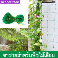 【GraceStore】ตาข่ายปลูกพืชผัก ค้างปลูกผัก อวนปลูกผัก ตาข่ายอวน ค้างแตง ไม้เลื้อย คุณภาพดี  เน็ตตาข่ายสี่มุม ตาข่ายสำหรับพืชไม้เลื้อย ตาข่ายไนลอน เชือกไนลอน Trellis ตาข่ายไนลอนที่ทนทานสำหรับปลูกพืชไม้เลื้อย