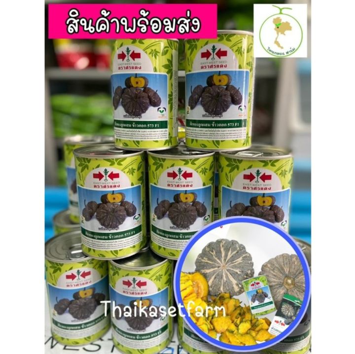 เมล็ดฟักทองข้าวตอก-573-ศรแดง-เมล็ดข้าวตอกศรแดง-ฟักทองลายข้าวตอก-100กรัม-ฟักทองศรแดงขายดี