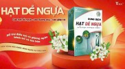 Hạt Dẻ Ngựa-Người bị trĩ, táo bón, đau rát hậu môn, chảy máu, sa búi trĩ