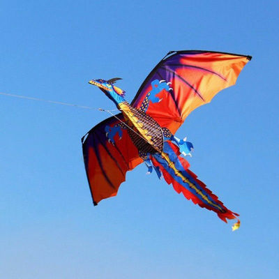 【cw】New Children Kids 3D Dinosaur Kite 100M Single Line with Tail Kites Outdoor Fun Toy Family Outdoor Sports Toys Children Gift ！