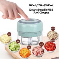 【CW】 New Electric Garlic Grinder Food Vegetable Meat Gringer Crusher Multifunction Masher Mashine 100/250/400ml