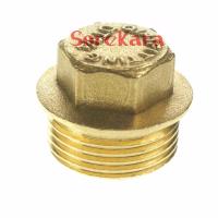 2pcs 1/2" 3/4" 1" 1-1/4" BSPP Male Brass Pipe Countersunk Plug Hex Head Socket End Cap With Flange Pipe Fittings Accessories