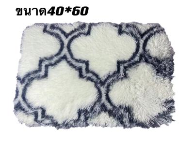 (NQT84)รุ่นใหม่ doormat พรม ปู พื้น พรมเช็ดเท้า พรม พรมสีขาว พรมเช็ดเท้าสวย พรมเช็ดซับน้ำ พรมแต่งห้อง พรมตกแต่งห้อง มี2ขนาด 40x60cm 60x120cm.หนา ขนน