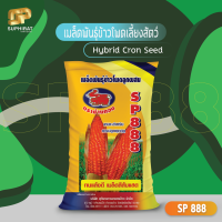 SP888 เมล็ดพันธุ์ข้าวโพดเลี้ยงสัตว์ ฝักคู่ เก็บเกี่ยวไว ทนต่อโรค เหมาะกับทุกสภาพอากาศ กระสอบ 10 kg