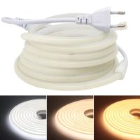 COB Neon Light LED Strip AC 220V 288leds/M High Bright CRI RA90 IP67 Waterproof Flexible Tube FOB Tape For Garden Home Decor Power Points  Switches Sa