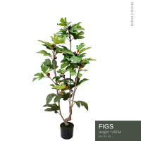 Figs tree - Height 120 cm. ต้นมะเดื่อฝรั่ง ความสูง 120  ซม.ต้นไม้ปลอมเกรดพรีเมี่ยมเพื่อการตกแต่ง ต้นไม้ประดิษฐ์ตกแต่งบ้าน คอนโด