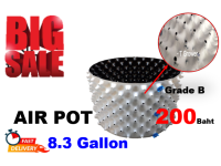 ? S A L E !!! ?  Air Pot (8.3 Gallon) (สีผิวด้านนอกด่าง) กระถางแอร์พอทปลูก420 (Airpot) Diameter 40*25 cm (White)