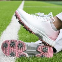 Women Golf Shoes Waterproof Comfortable Ladies Spikes Golf Sport Sneakers Professional Golf Trainers for Women