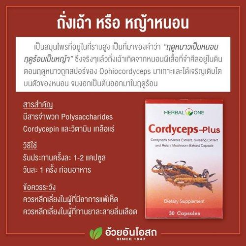 herbal-one-ตังถั่งเฉ้า-cordyceps-plus-30-แคปซูล-ถั่งเช่า-อ้วยอันโอสถ