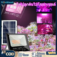 ไฟปลูกต้นไม้โซล่าเซลล์ 200w/300W led grow light เติมแสงให้ต้นไม้ ไฟปลูกต้นไม้ ไฟต้นไม้led แสงสีม่วงปลูกดอกไ