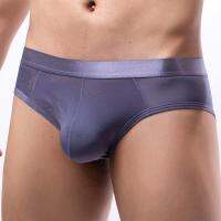 【CW】 Mens Silk Briefs Translucent Wet Breathable Underpants See-Through Low Waist