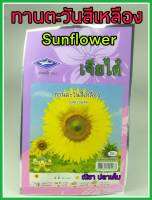 เมล็ดพันธุ์ ทานตะวัน สีเหลือง sunflower แตกแขนงดี ดูแลน้อย ต้นแข็งแรง ปลูกง่าย น้ำหนักดี ผลผลิตสูง ทนโรค