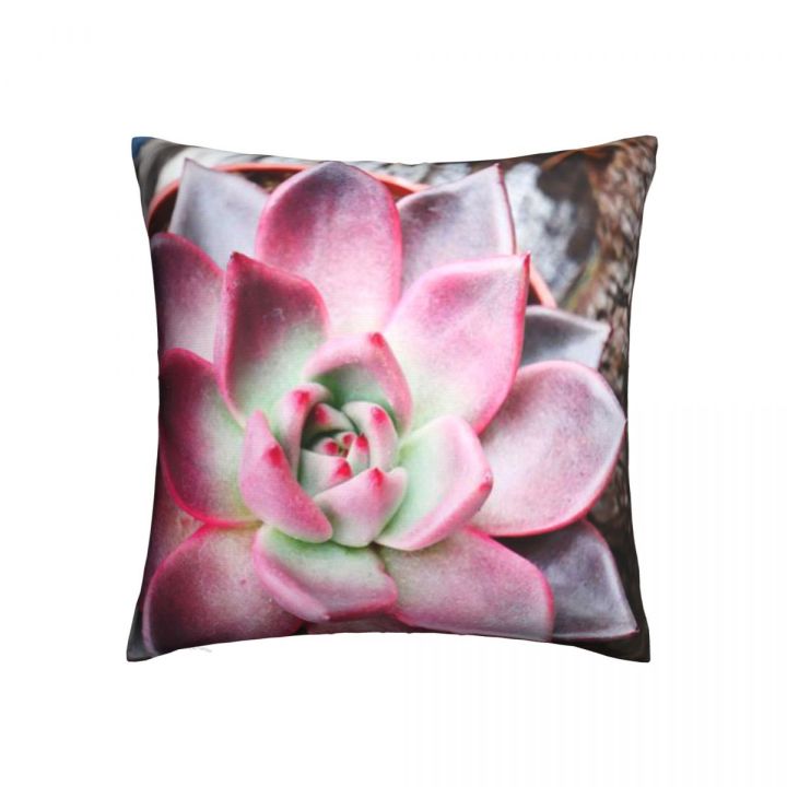 green-plantsucculent-green-leaf-summer-pillow-covers-christmas-couch-pillow-covers-livingroom-cute-home-decoration