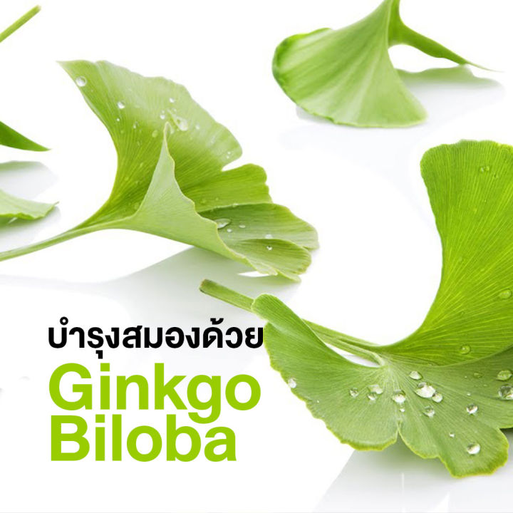 ส่งฟรี-จิงโกลา-กิฟฟารีน-แปะก๊วย-สารสกัดจากใบแปะก๊วย-ginkola-giffarine