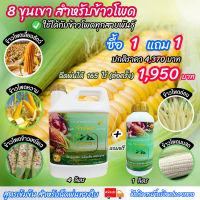 [พร้อมส่ง] 8ขุนเขา ข้าวโพด 4 ลิตร อาหารเสริมพืช ฮอร์โมนข้าวโพด อะมิโน ปุ๋ยฉีดทางใบ ยาฉีดข้าวโพด ฮอร์โมน ปุ๋ยฉีดข้าวโพด