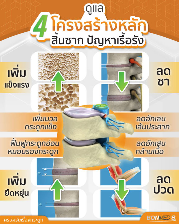 อาหารเสริม-บรรเทาอาการ-กระดูกทับเส้นประสาท-แก้ปวดหลัง-ออฟฟิศซินโดรม-บอนเมด-เอส-ฺbonmed-s-โปร-2-แถม-2