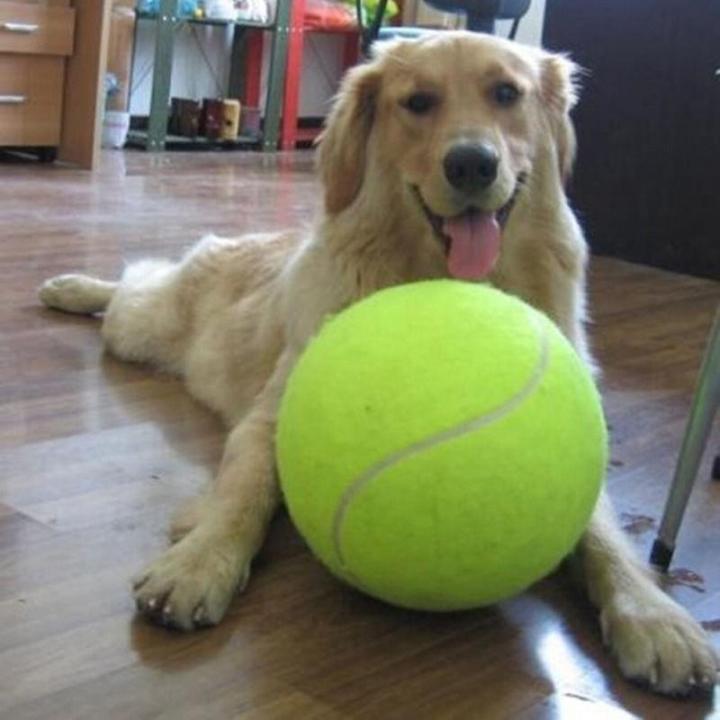 ของเล่นฝึกเคี้ยวลูกเทนนิสของเล่นสำหรับสัตว์เลี้ยงขนาดยักษ์ลูกเทนนิสสุนัข24ซม-ของเล่นสำหรับเด็กขนาดจัมโบ้สำหรับลูกสุนัข-yy-ร้านค้า