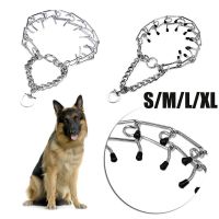 R1A9M 45/50/55/60cm Metal Steel Prong Guardian Dog Leads Pinch Pet Chain Training Tool Dog Supplies Dog Collar