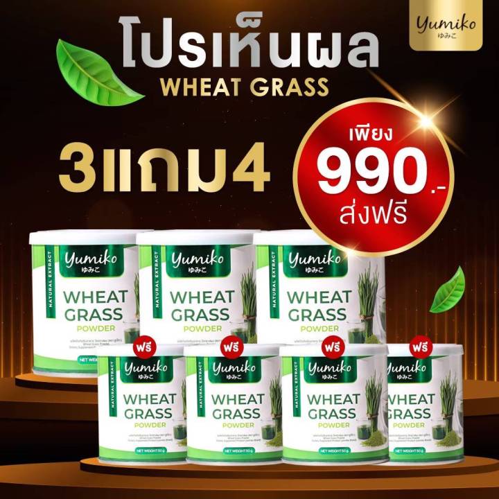 yumiko-wheat-grass-วีทกราส-คลอโรฟิลล์-ยูมิโกะ-วีทกราส-ผงผัก-ไฟเบอร์-1-แถม-1-เพียง-350-บรรจุ-50-กรัม-กระปุก