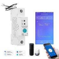 WIFI Circuit Breaker with Metering Switches Guide On-Off Device Wireless Remote Control Smart-House Ewelink Electrical Circuitry Parts