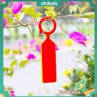 OKDEALS 100Pcs สีสัน สวนเนอสเซอรี่ กระถางดอกไม้ ป้าย เครื่องมือ เครื่องหมายพืช แท็กแขวน