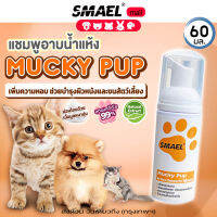 smael mall มูสโฟมอาบน้ำแห้งแชมพูอาบน้ำแห้งสำหรับสัตว์เลี้ยงและสัตว์เล็ก 60 ml. สูตรอ่อนโยนกลิ่นหอม.ขนสวยดับกลิ่นเลียขนด้วยคุณภาพจากสารสกัดดอกคาร์โมมายด์ ปกป้องผิวหนัง ลดอาการคัน สัตว์เลี้ยง สัตว์เลี้ยงขนาดเล็ก แชมพูแมว แชมพูสุนัข หมา  S003  FHB