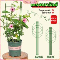 Yumi โครงเถาวัลย์ เสามะเขือเทศ โครงปลูก อุปกรณ์สำหรับพืชไม้เลื้อย 45cm 60cm plant trellis