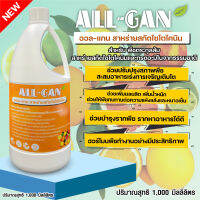 ปุ๋ยน้ำตระกูลส้ม1000ML.ช่วยกระตุ้นการเจริญเติบโตของลำต้น เพิ่มน้ำหนักผลผลิต ALL GAN สาหร่ายสกัดไซโตไคนิน สร้างฮอร์โมนพืช บำรุงราก