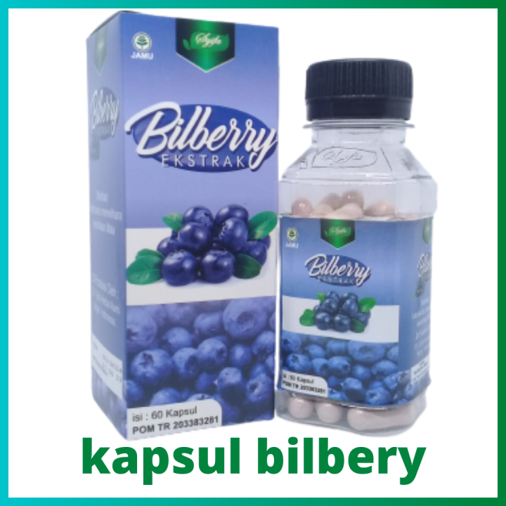 billberry 60 Kapsul Ekstrak Bilberry Obat Herbal Untuk Menjaga
