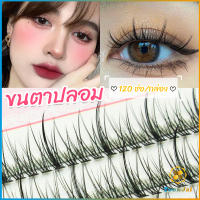 TookJai ขนตาปลอม ขนตาปลอมแต่งหน้ามืออาชีพ 120 ช่อ ช่อคนตาเทรนสาวเวียดนาม  Little devil false eyelashes